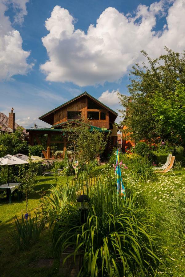 Casa Natalia Hotell Braşov Exteriör bild
