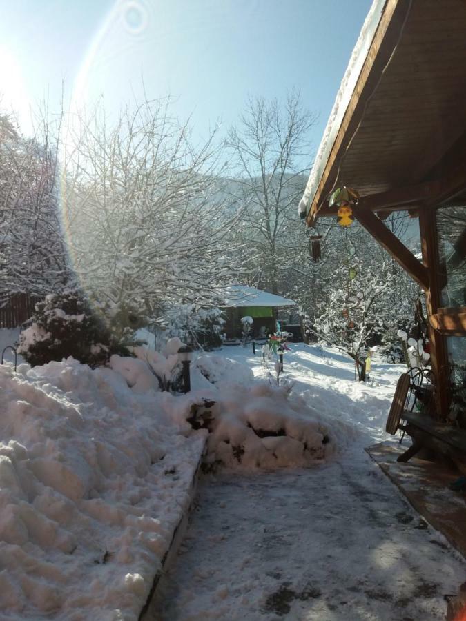 Casa Natalia Hotell Braşov Exteriör bild