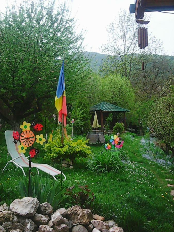 Casa Natalia Hotell Braşov Exteriör bild