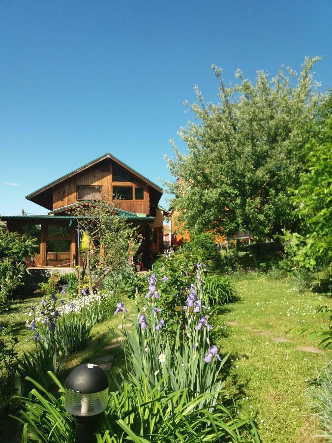 Casa Natalia Hotell Braşov Exteriör bild